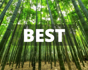 Best - icon
